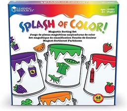Splash of Color Magnetic Sorting Set